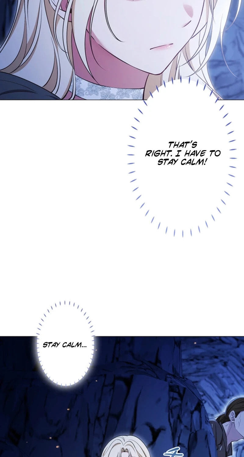 The Enemy King's Substitute Bride Chapter 47 page 88 - 
