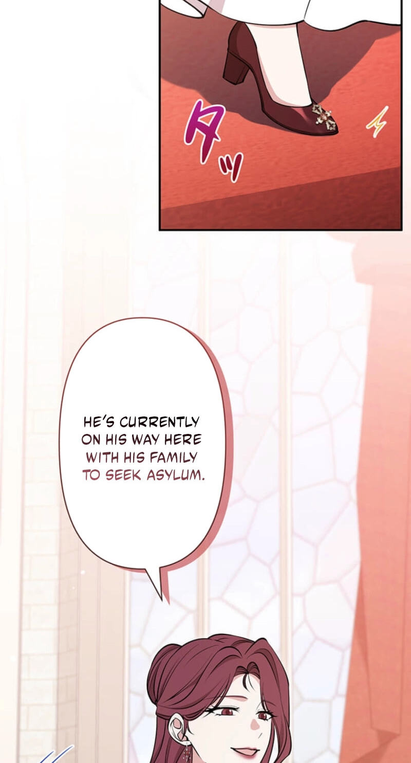 The Enemy King's Substitute Bride Chapter 48 page 17 - 