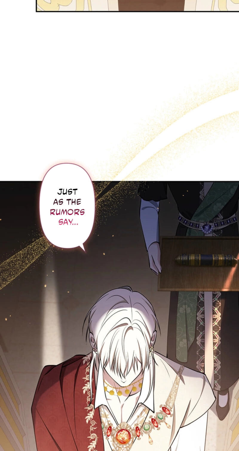 The Enemy King's Substitute Bride Chapter 48 page 4 - 