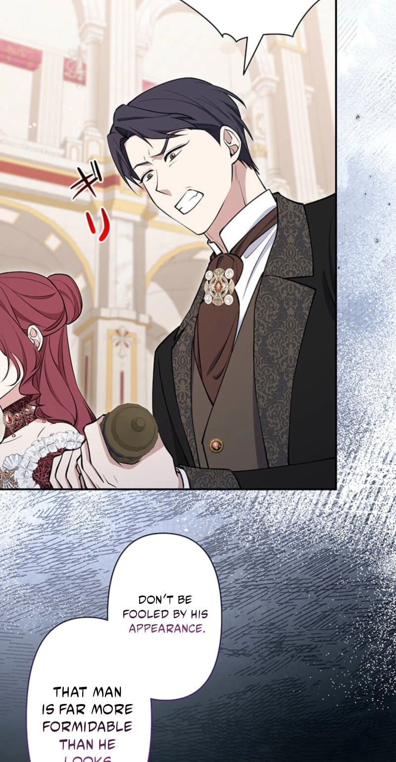 The Enemy King's Substitute Bride Chapter 48 page 35 - 