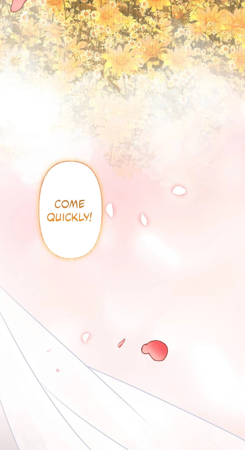 The Enemy King's Substitute Bride Chapter 48 page 43 - 