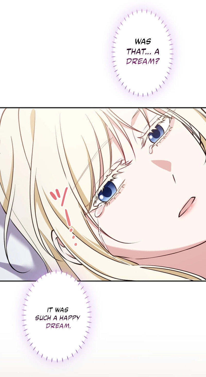 The Enemy King's Substitute Bride Chapter 48 page 46 - 