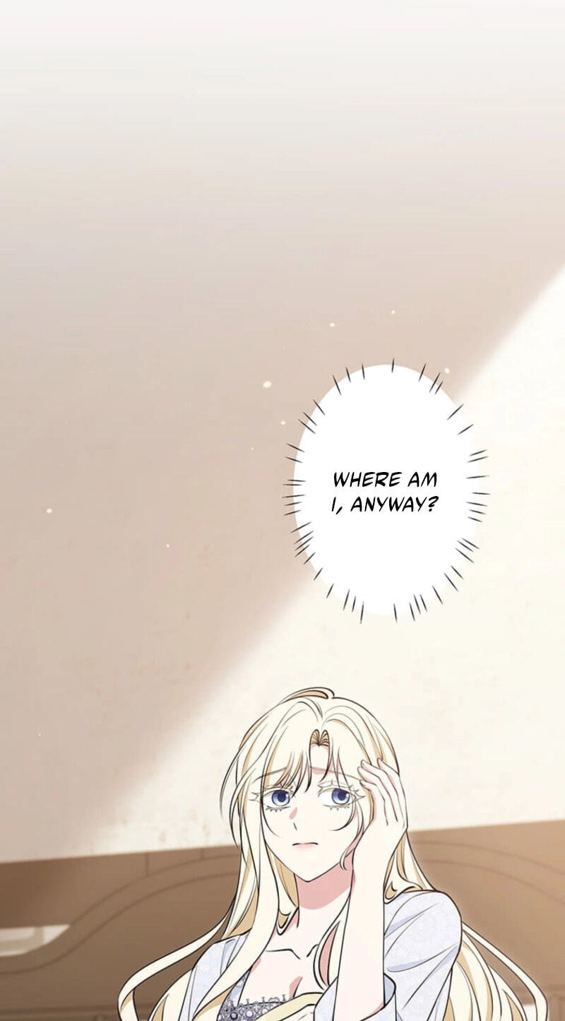 The Enemy King's Substitute Bride Chapter 48 page 47 - 