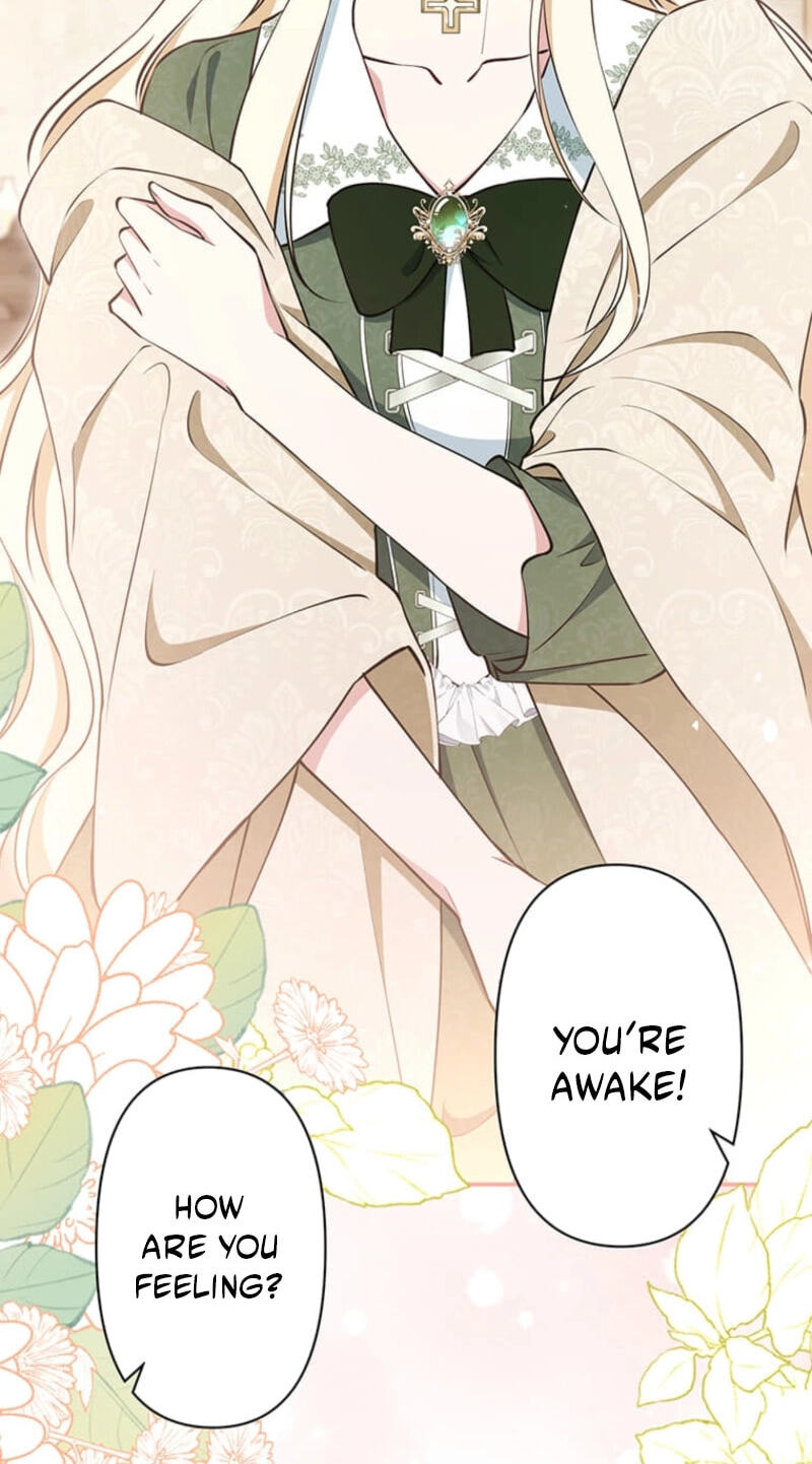 The Enemy King's Substitute Bride Chapter 48 page 81 - 
