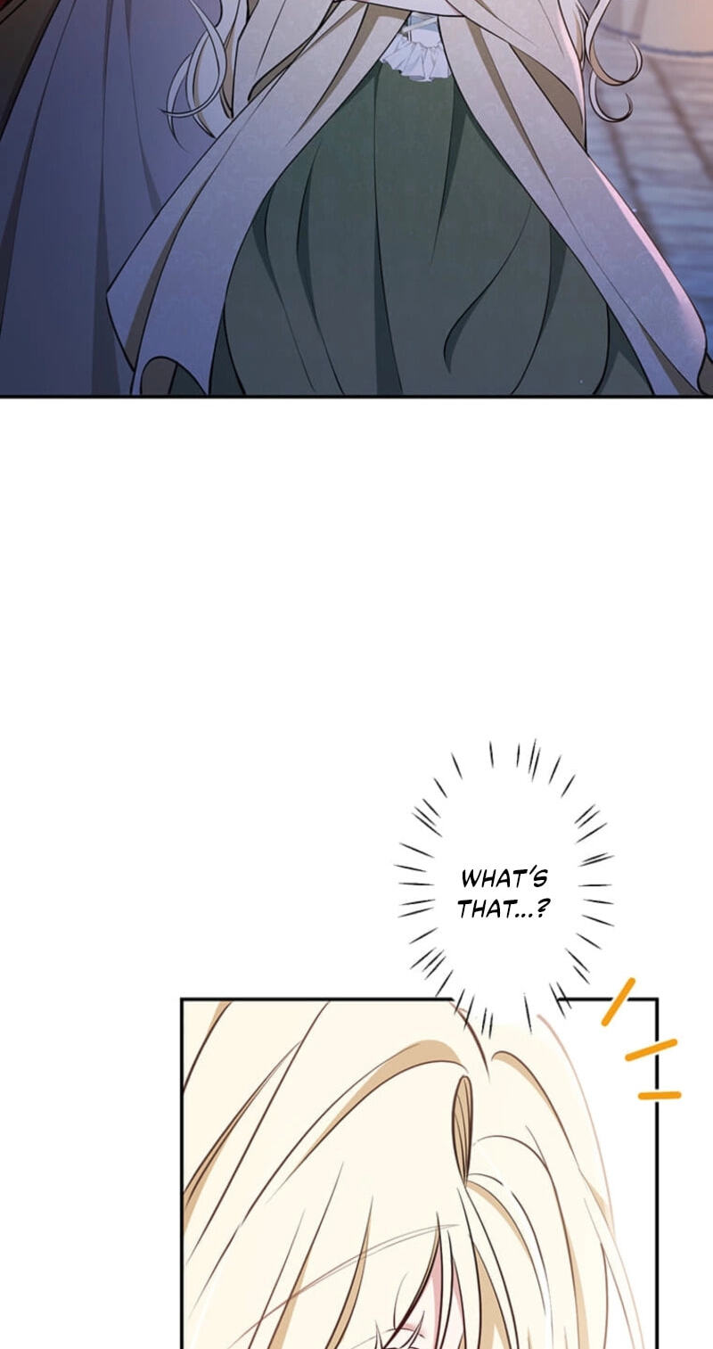 The Enemy King's Substitute Bride Chapter 48 page 98 - 