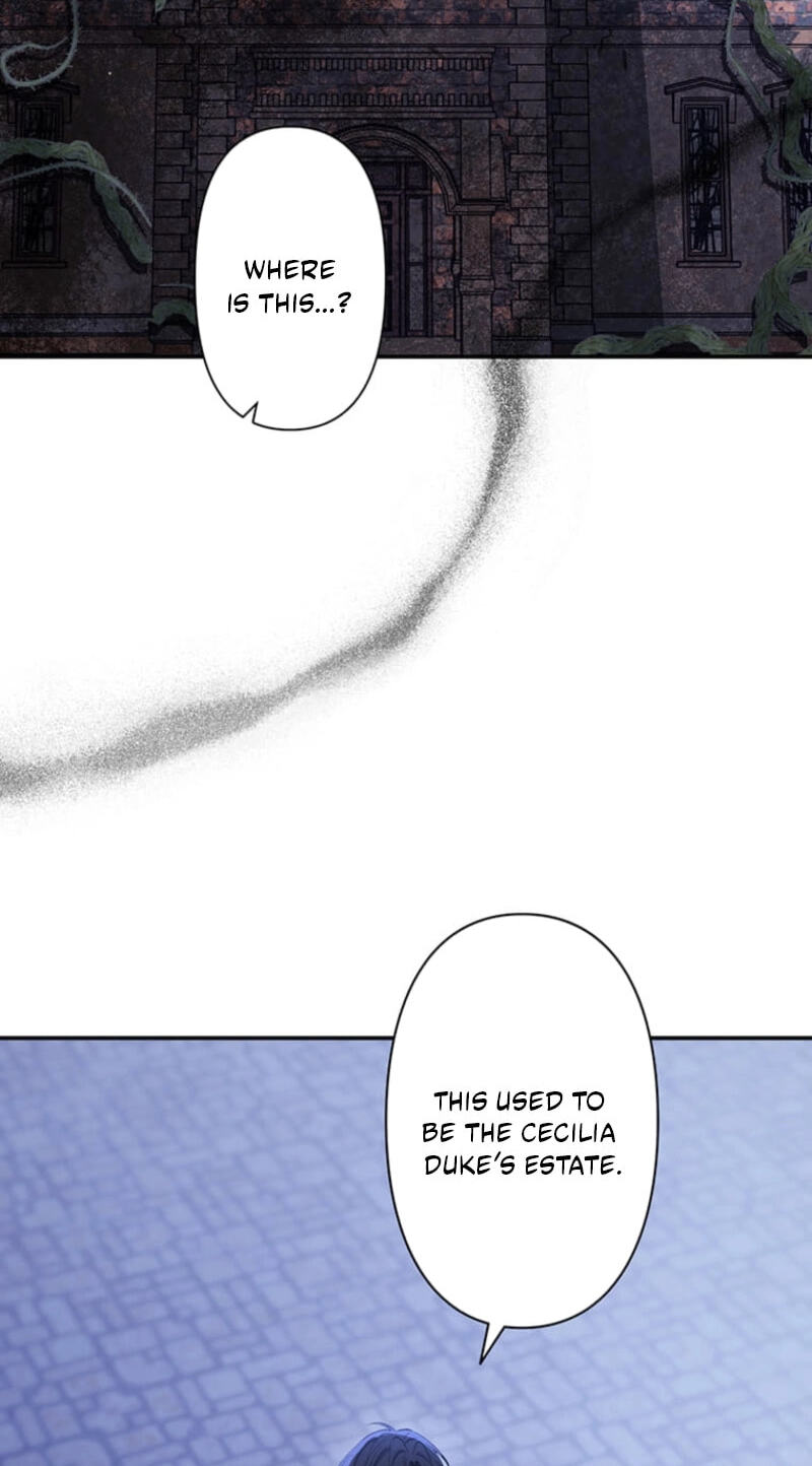 The Enemy King's Substitute Bride Chapter 49 page 17 - 