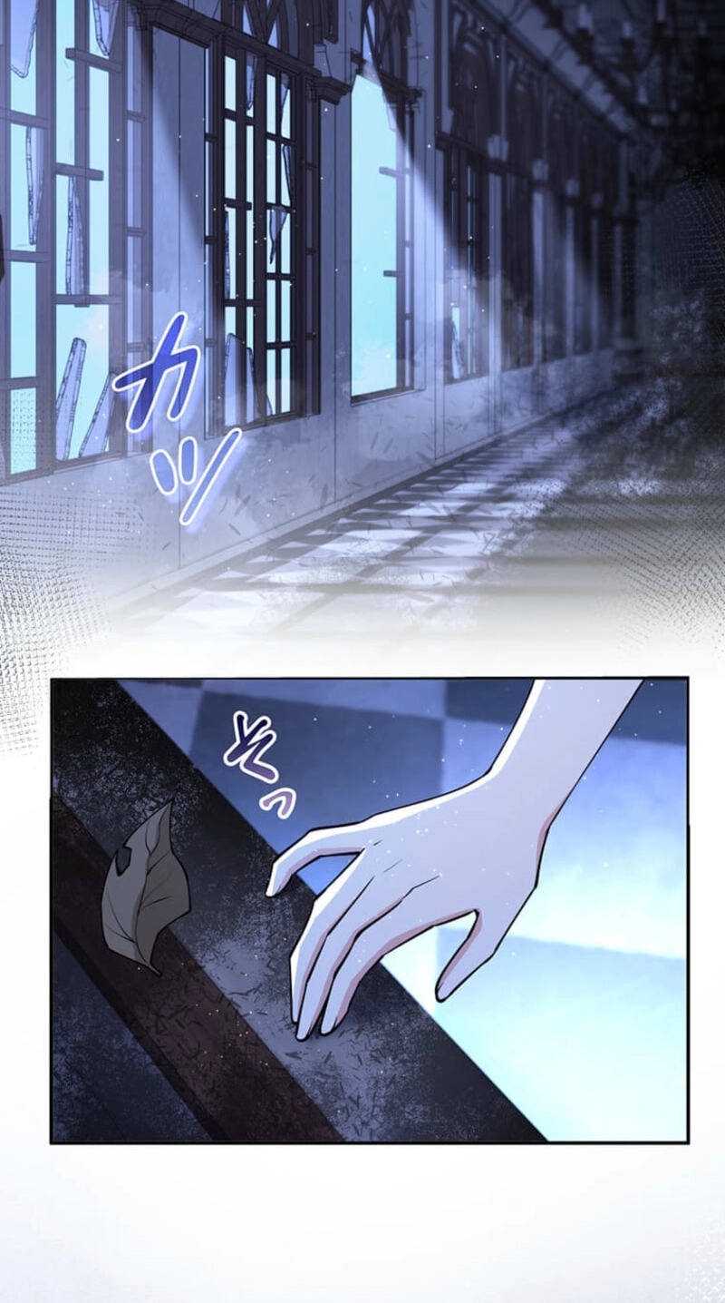 The Enemy King's Substitute Bride Chapter 49 page 24 - 