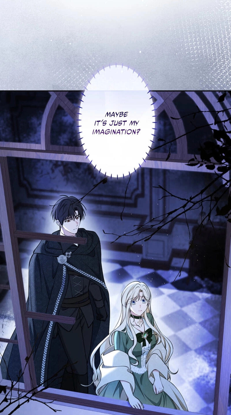The Enemy King's Substitute Bride Chapter 49 page 25 - 