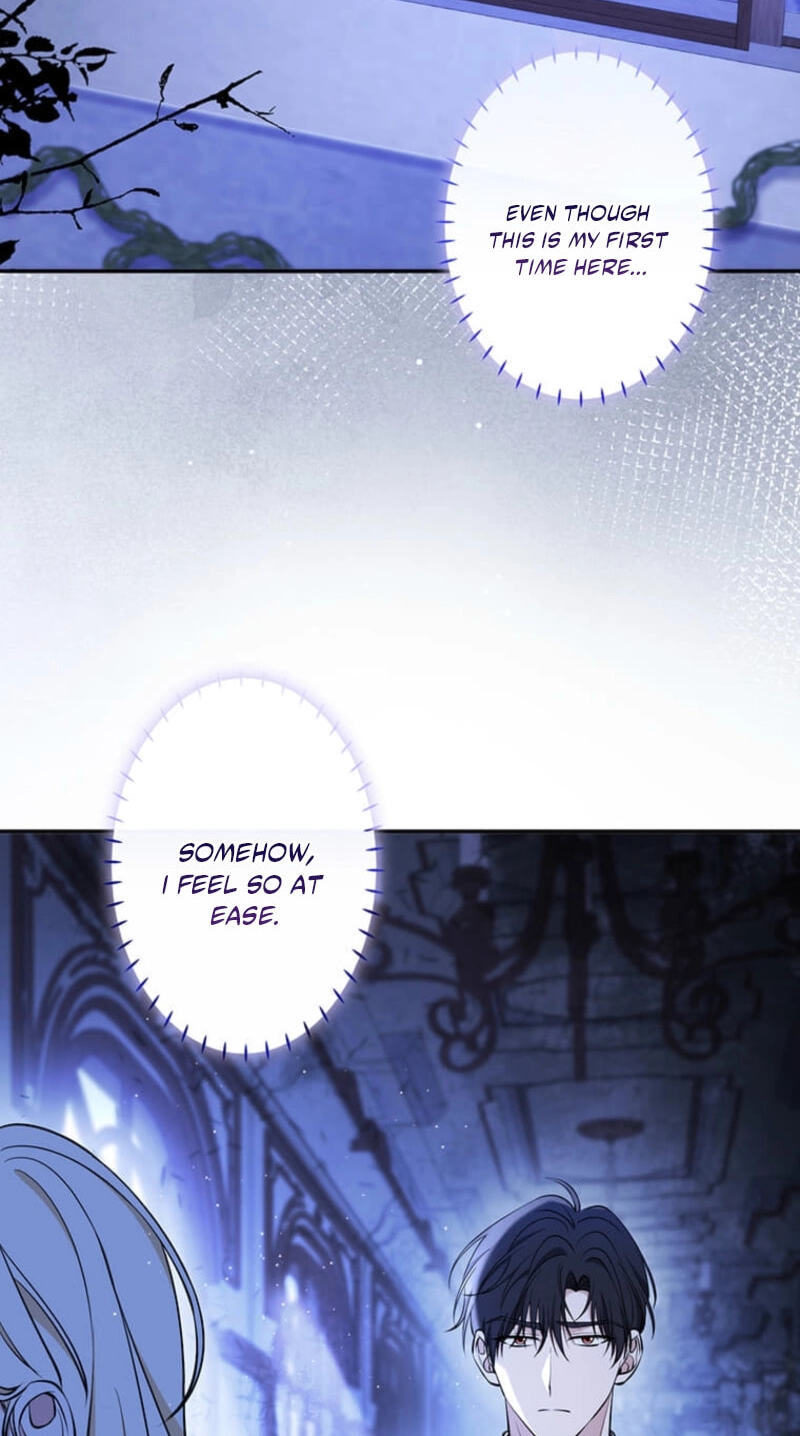 The Enemy King's Substitute Bride Chapter 49 page 26 - 