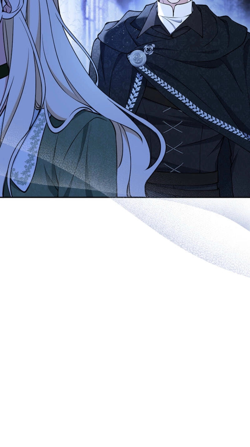 The Enemy King's Substitute Bride Chapter 49 page 27 - 