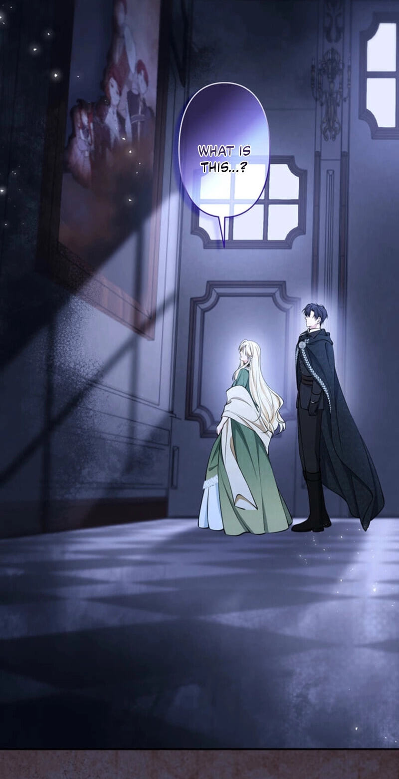 The Enemy King's Substitute Bride Chapter 49 page 29 - 