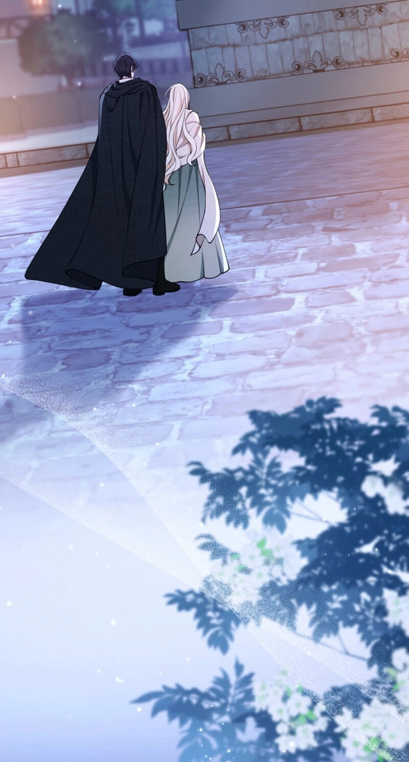 The Enemy King's Substitute Bride Chapter 49 page 4 - 