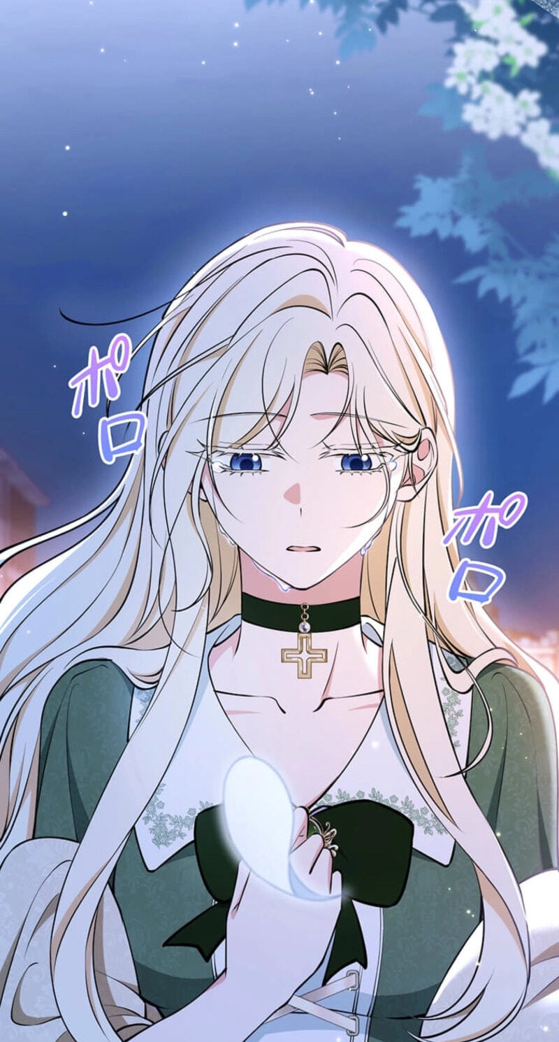 The Enemy King's Substitute Bride Chapter 49 page 5 - 