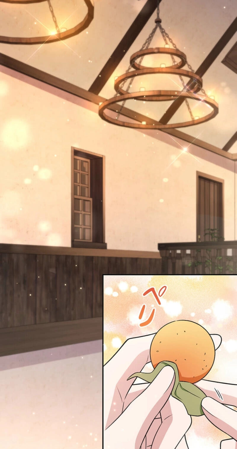 The Enemy King's Substitute Bride Chapter 49 page 58 - 