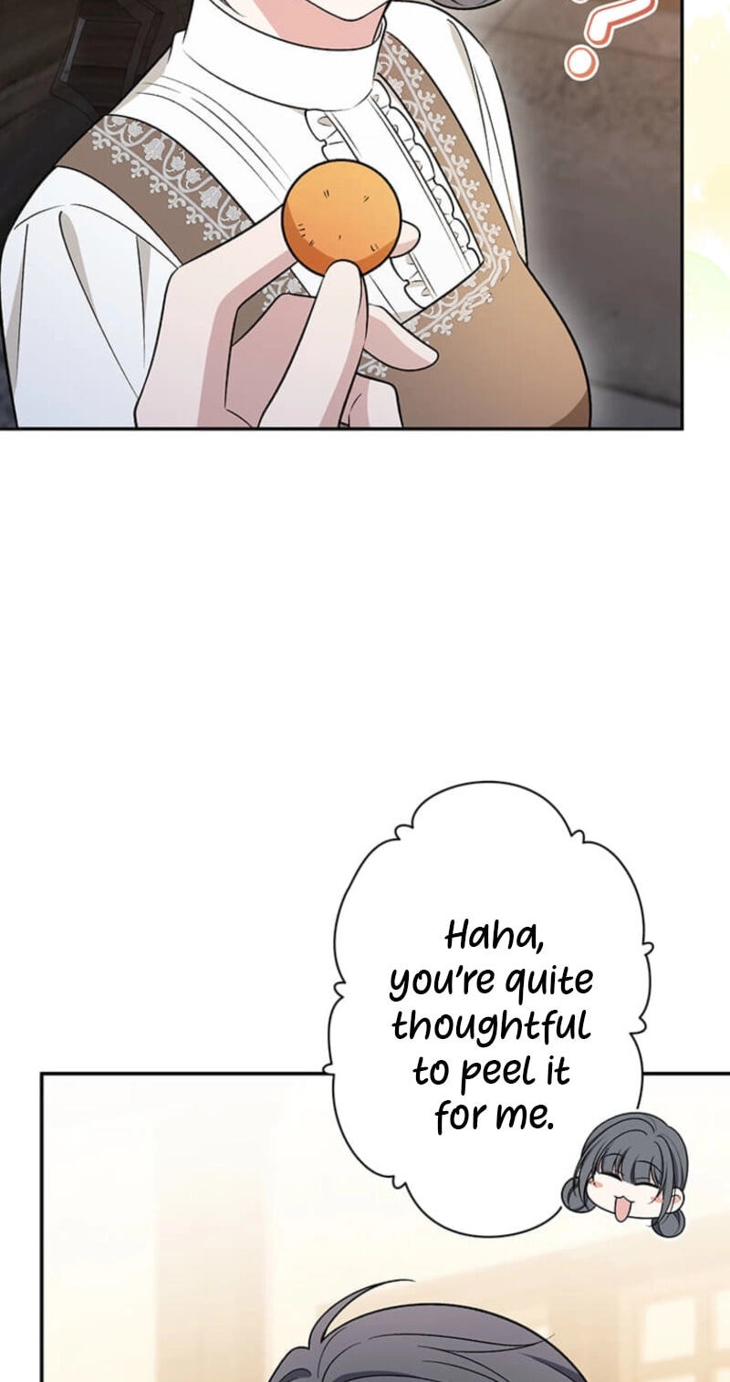 The Enemy King's Substitute Bride Chapter 49 page 61 - 