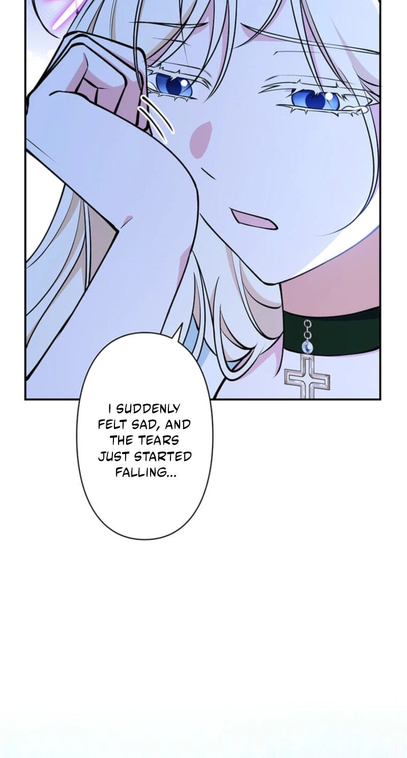 The Enemy King's Substitute Bride Chapter 49 page 9 - 