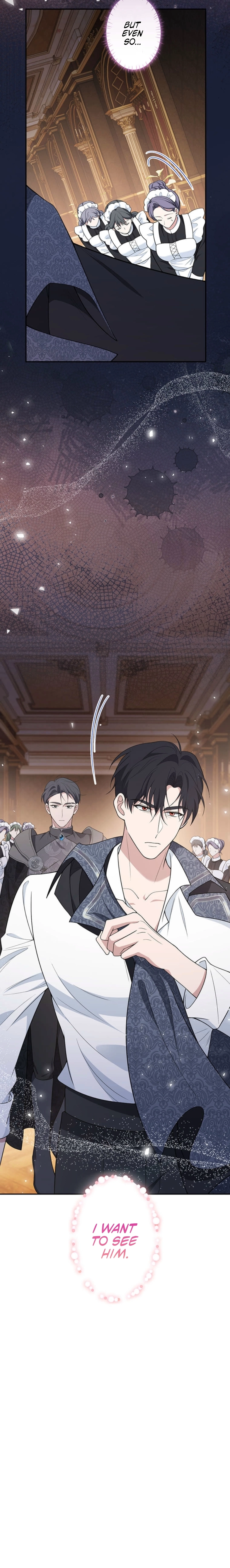 The Enemy King's Substitute Bride Chapter 5 page 25 - 