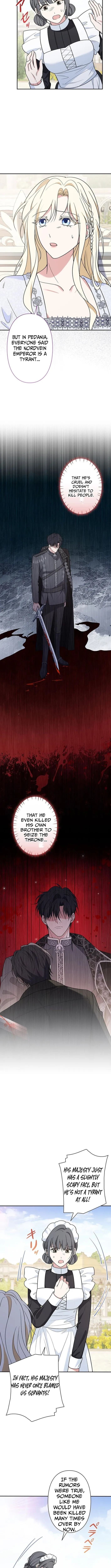 The Enemy King's Substitute Bride Chapter 9 page 12 - 