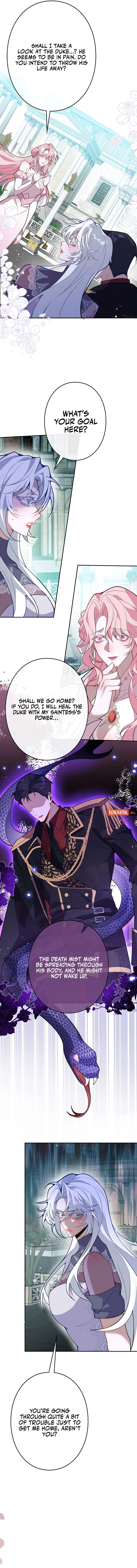 The Fake Saintess's Splendid Revenge Chapter 36 page 5 - 