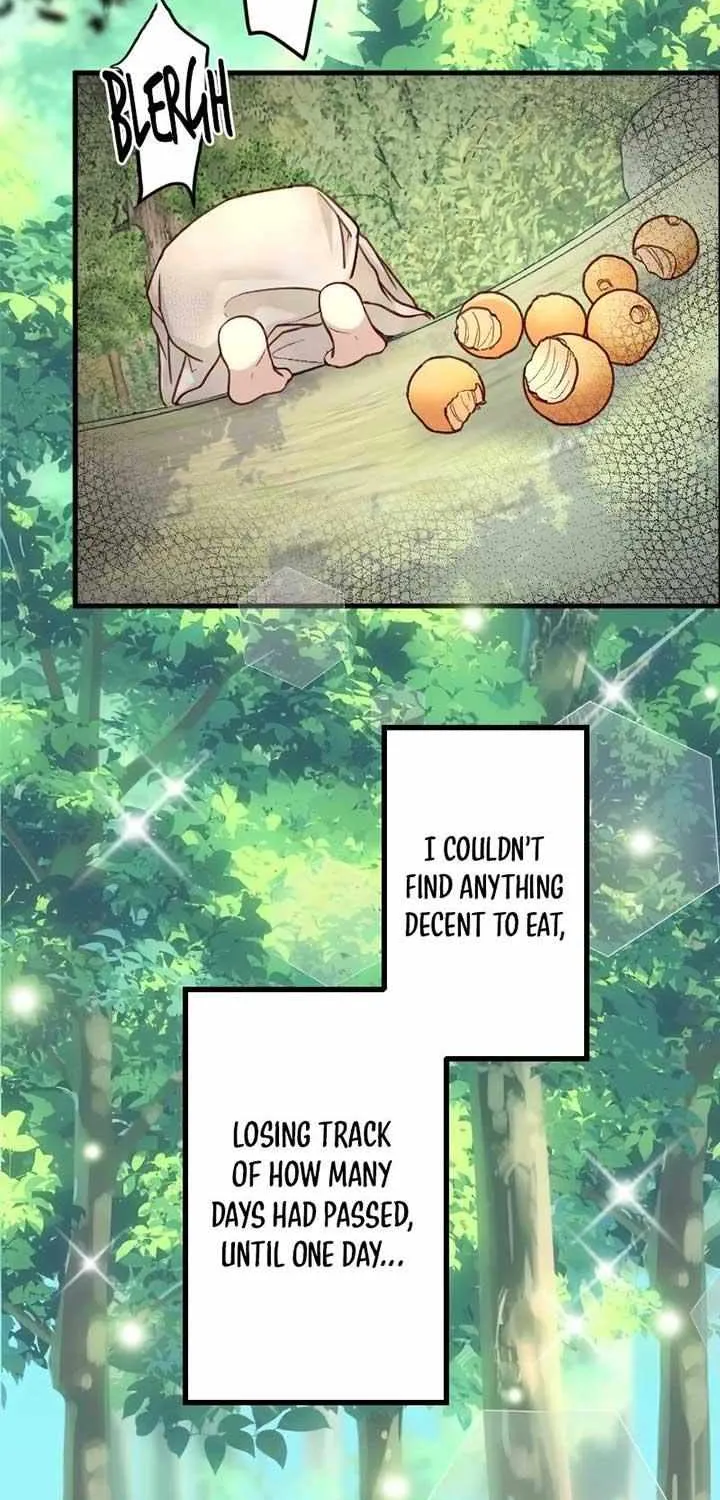 The False Saintess Embraced by Her First Love, the Count Chapter 1 page 65 - 