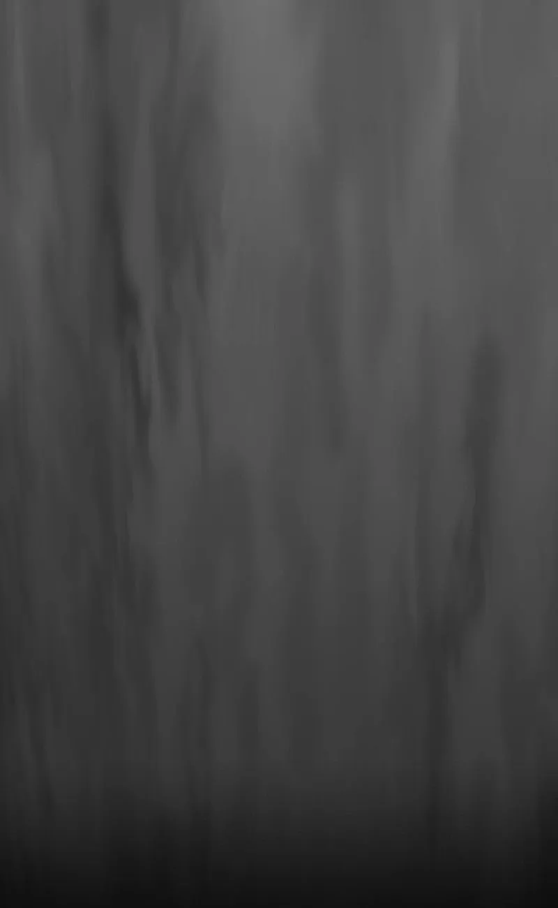 The Fog Chapter 0 page 4 - 