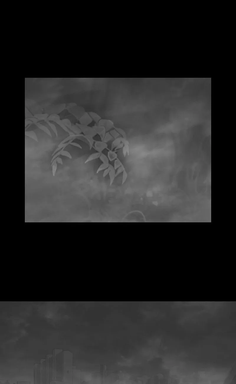 The Fog Chapter 49 page 66 - 