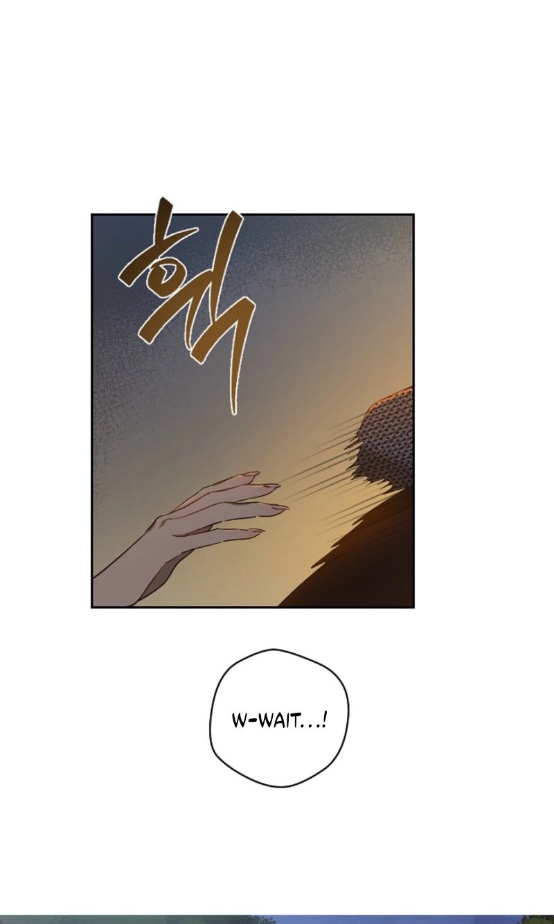 The Forgotten Field Chapter 33 page 43 - 
