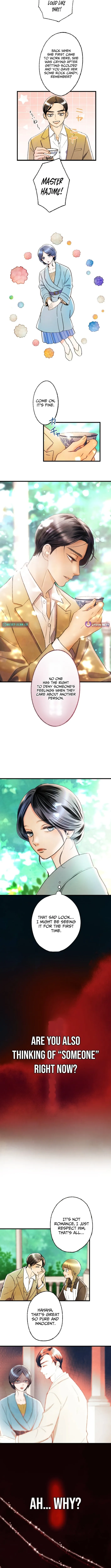 The Fourth Husband Chapter 8 page 11 - 
