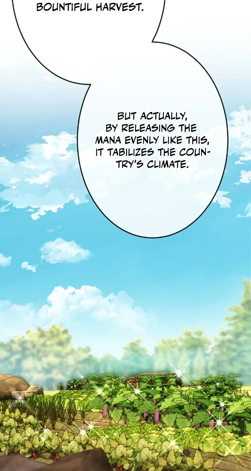 The Genius Court Mage Who Quit Being a Corporate Slave – Dreaming of a Slow Life in the Frontier, but Ends Up Known as the Witch of the Edge Chapter 26 page 7 - 