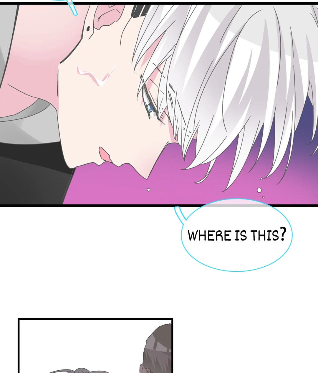 The 
