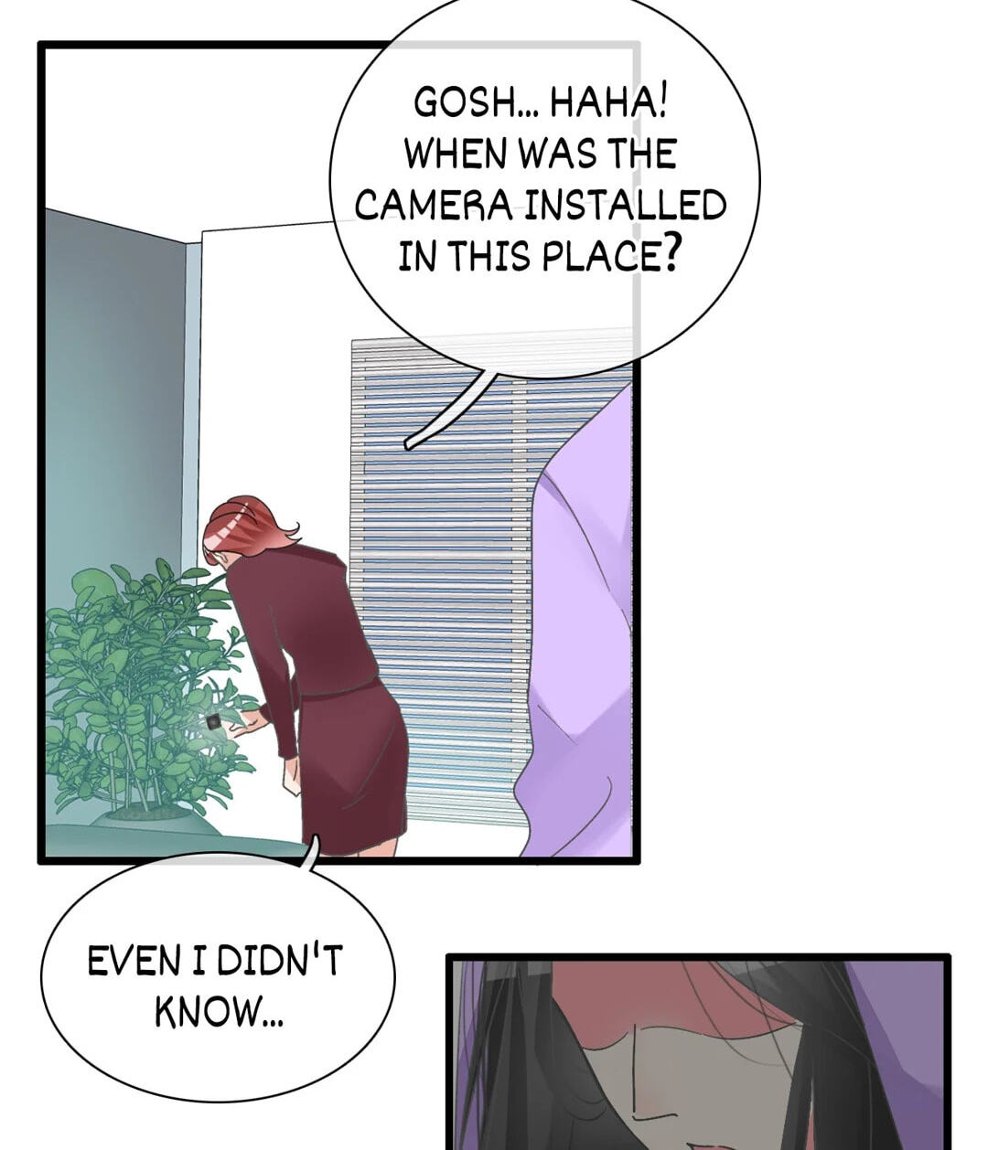 The 