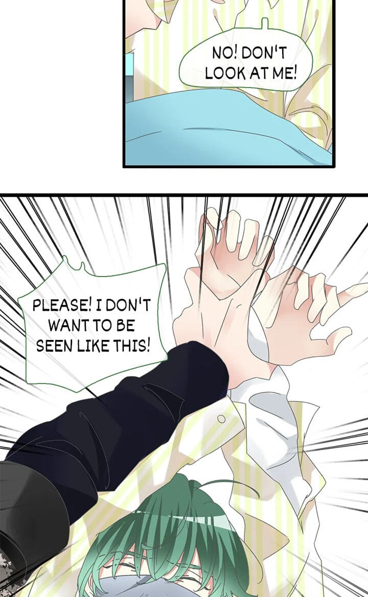 The 