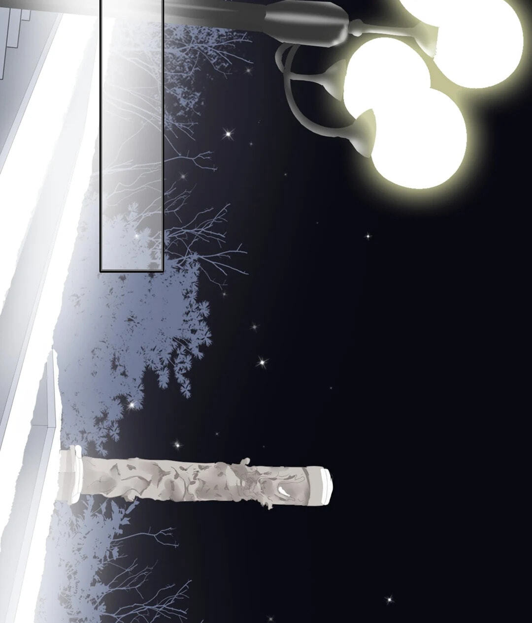The 