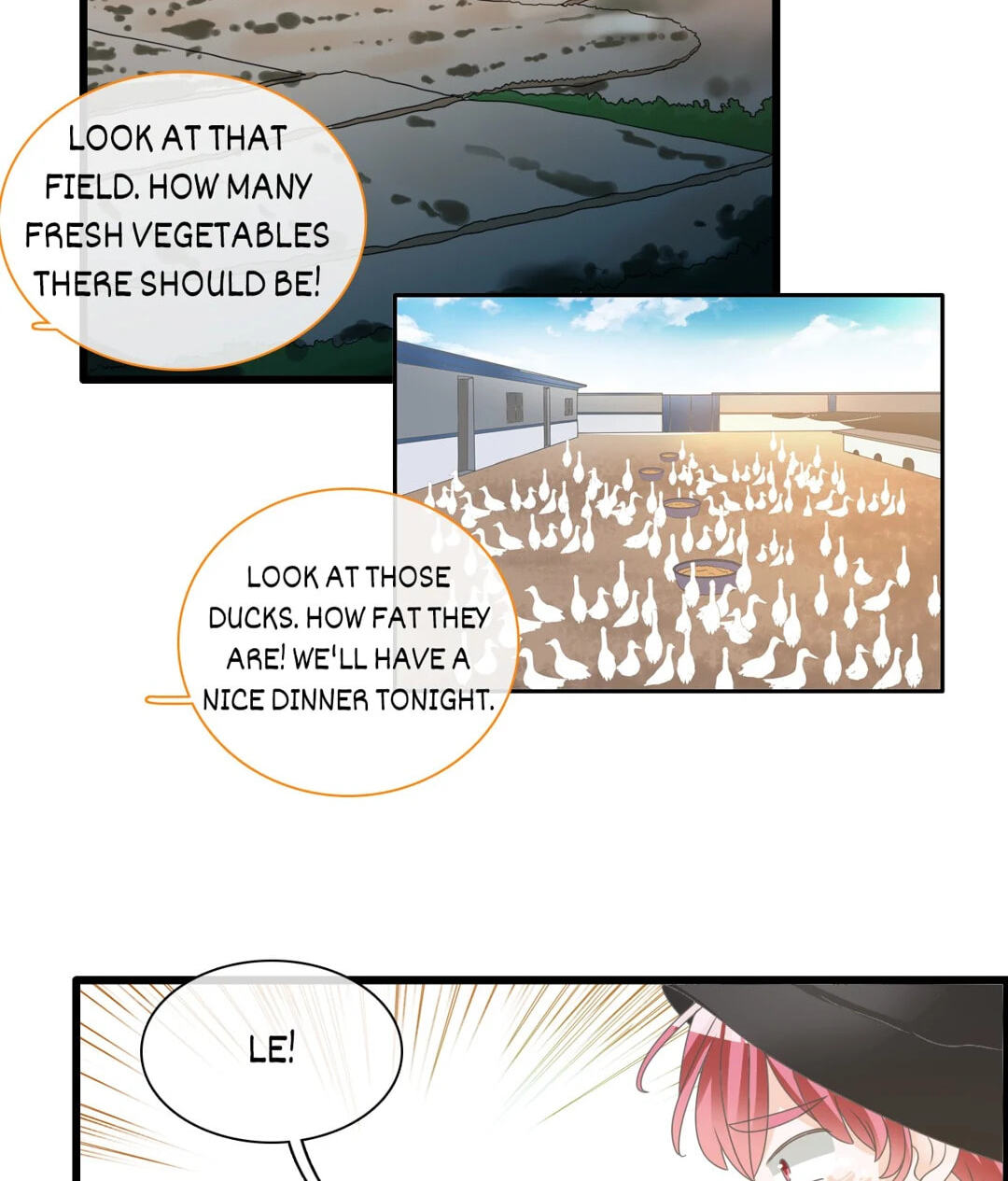 The 