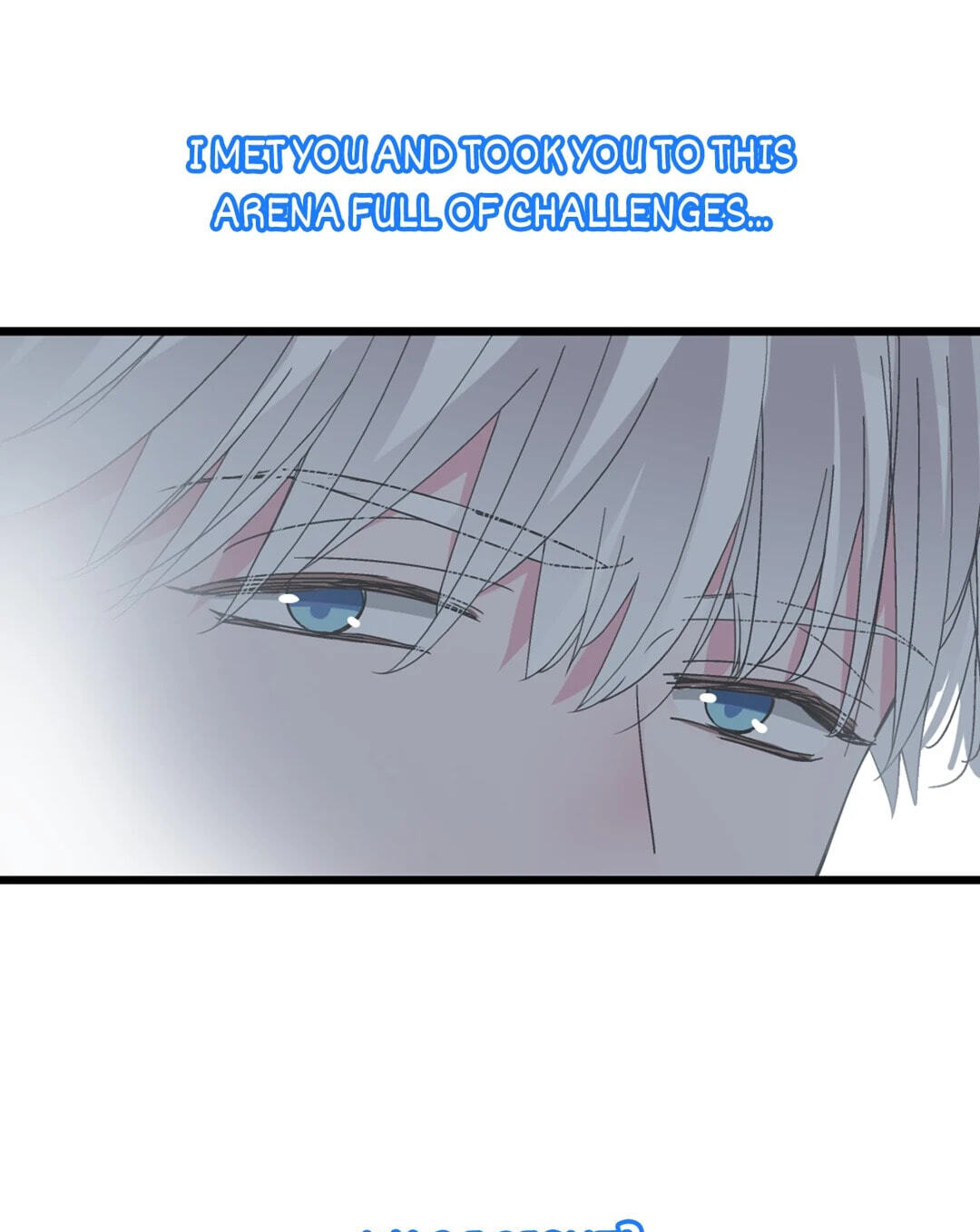 The 