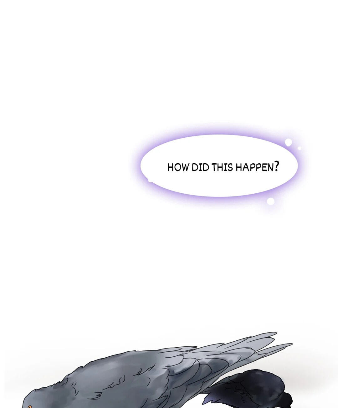 The 