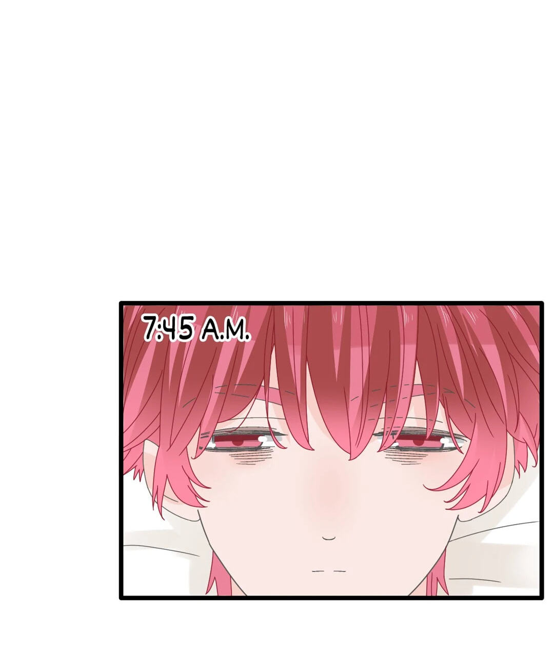 The 