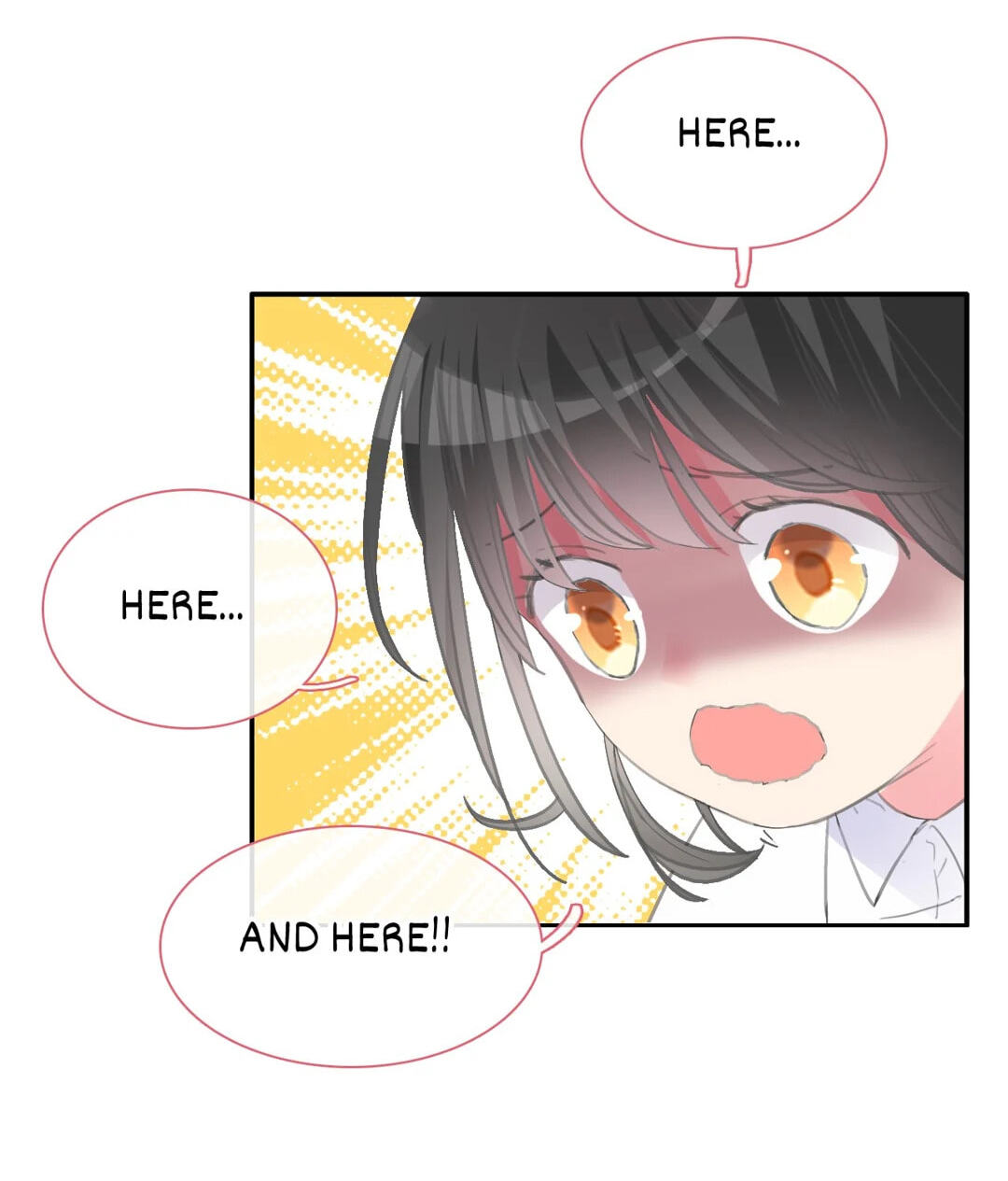 The 