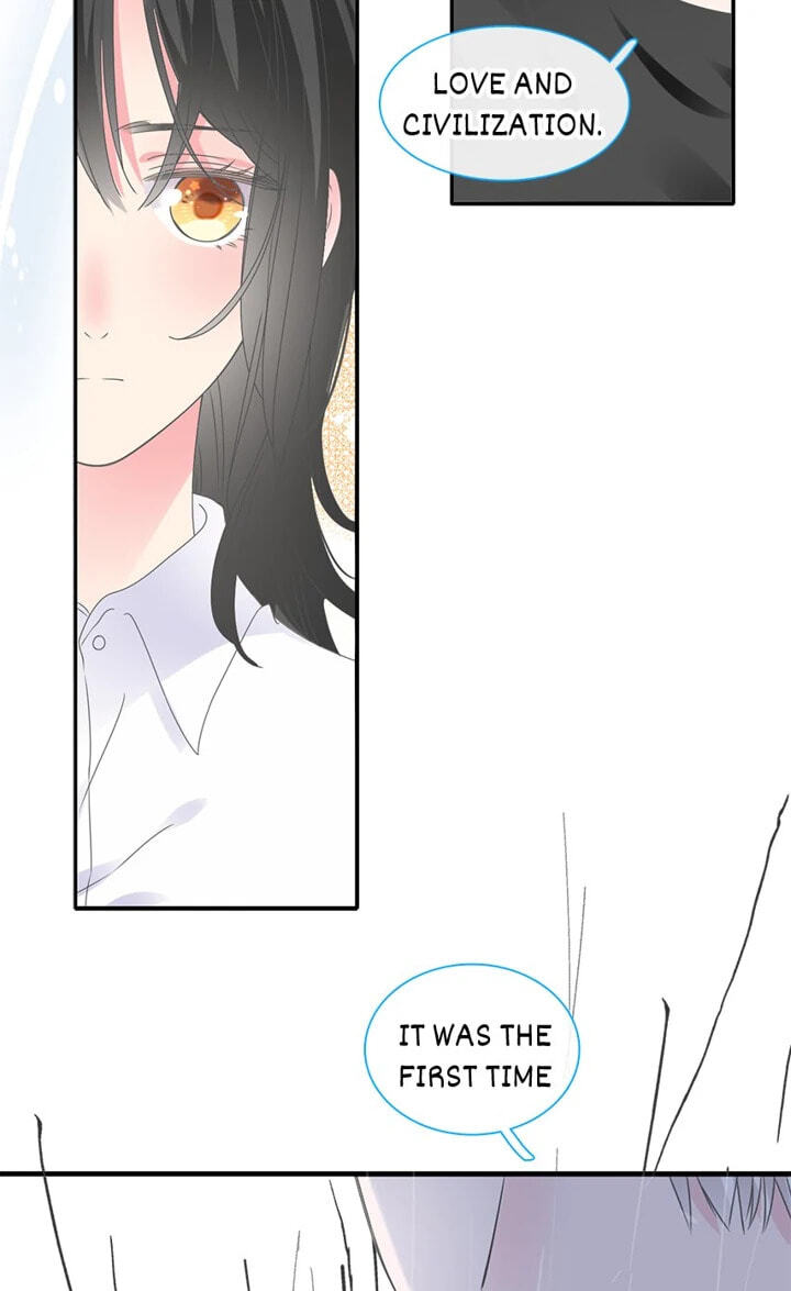 The 