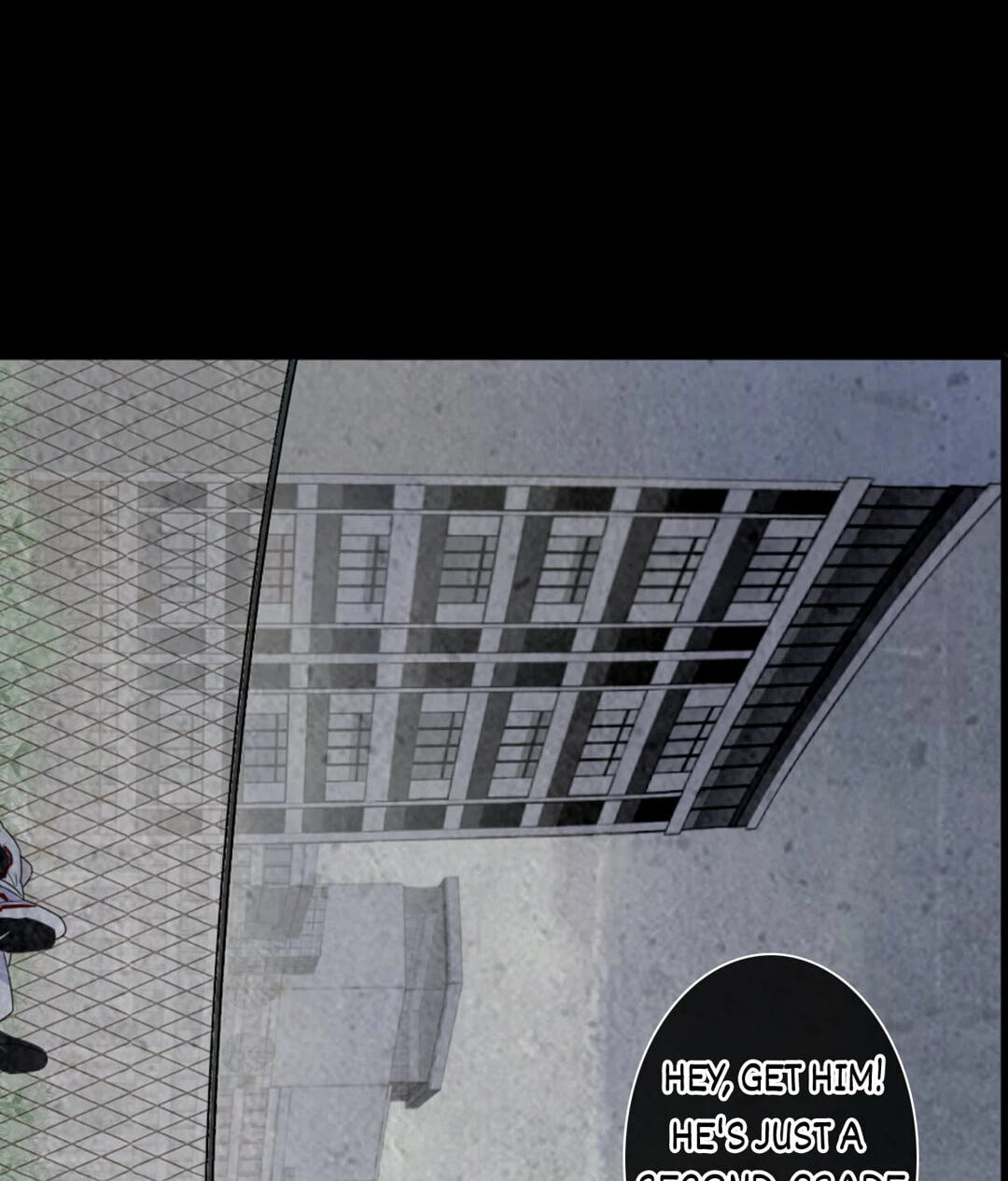 The 
