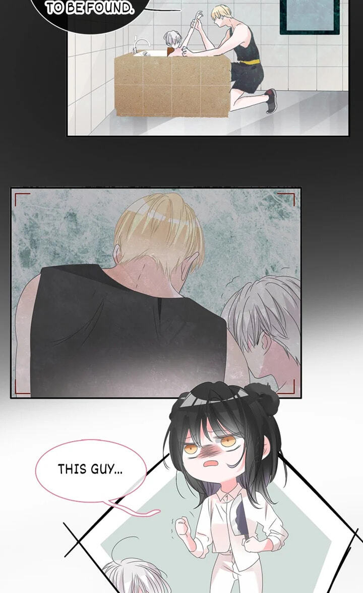 The 