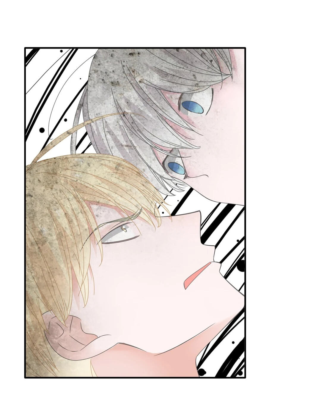 The 