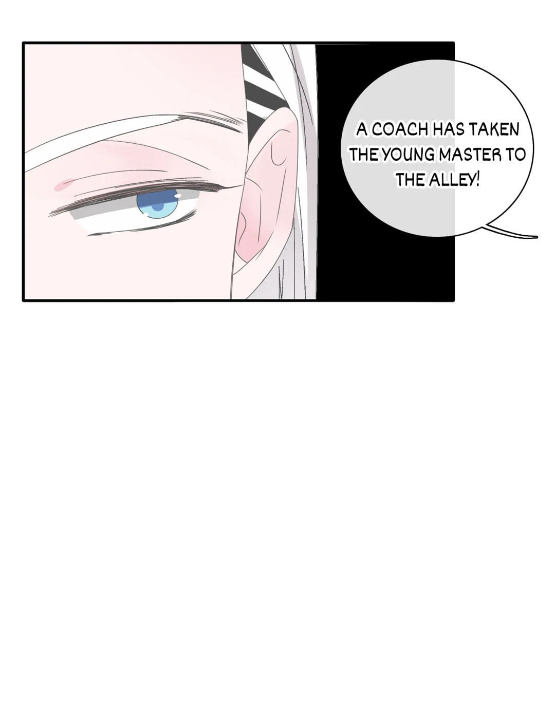 The 