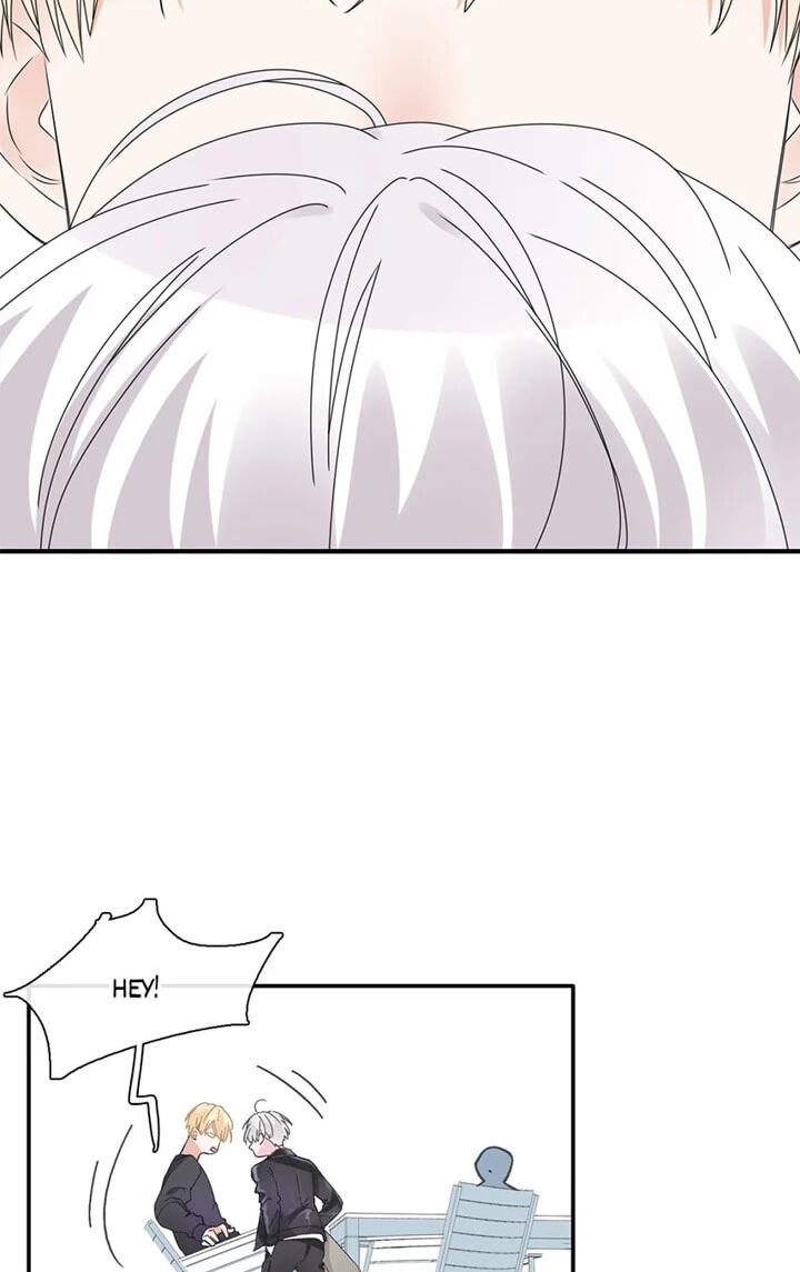 The 