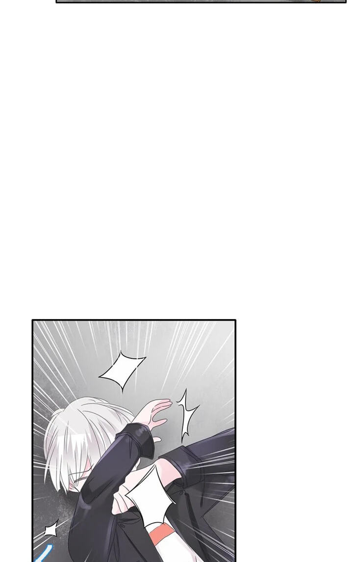 The 