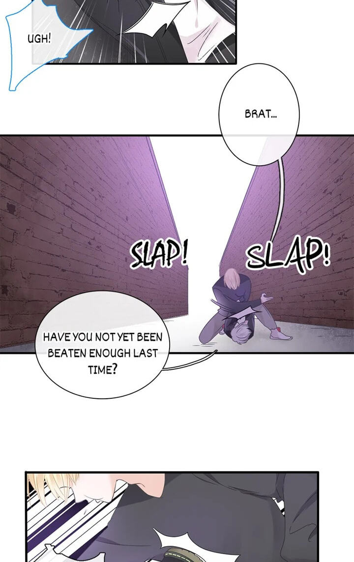 The 