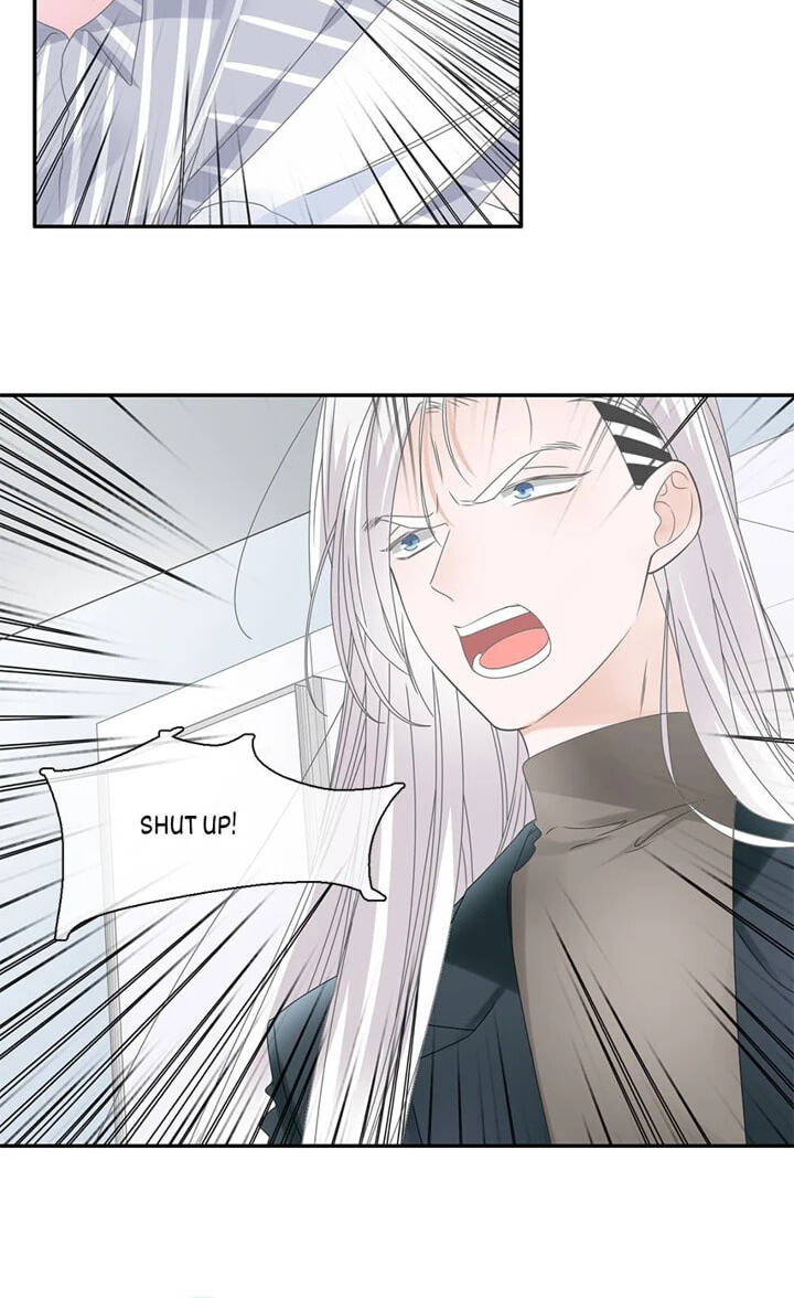 The 