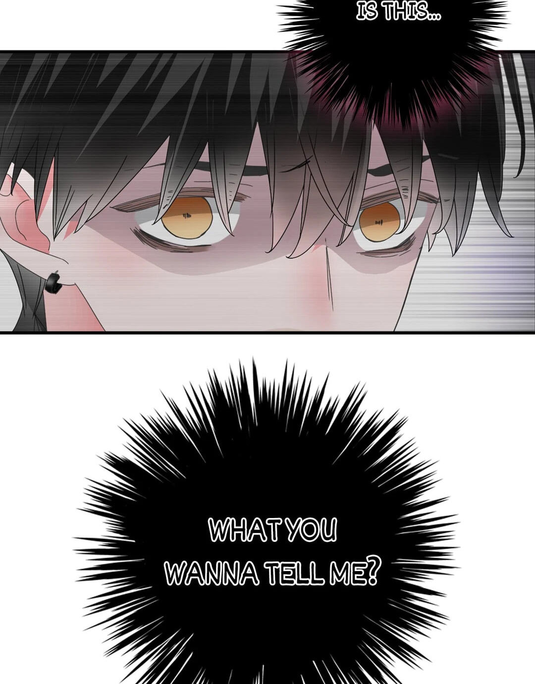 The 