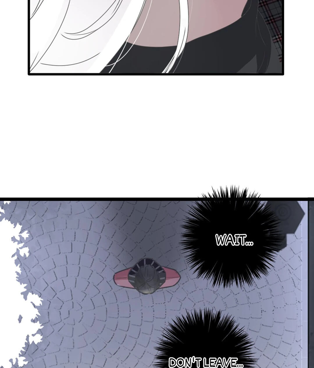 The 