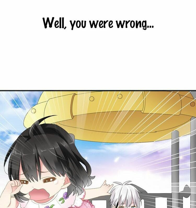 The 